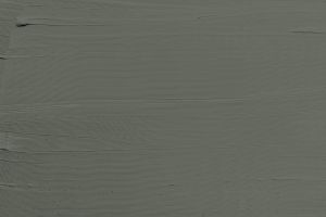 V495 Железная дорога