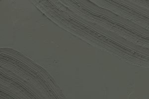 V495 Железная дорога