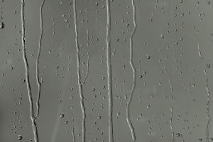 V495 Железная дорога