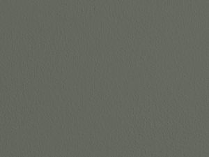 V495 Железная дорога