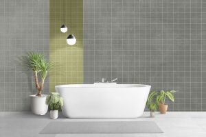 V495 Железная дорога