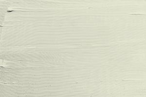 F452 Ангелика