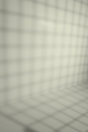 F452 Ангелика