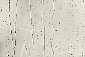 F452 Ангелика