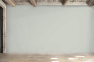 X447 Морской туман