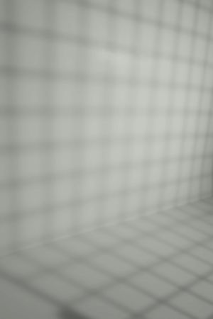 X447 Морской туман