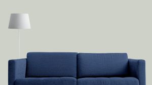 X447 Морской туман