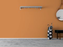 S402 Тыква