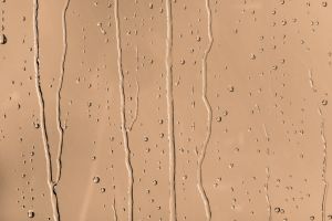 V402 Амаретто