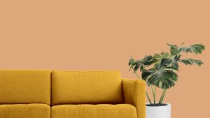 V402 Амаретто