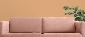 V402 Амаретто