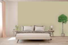 V451 Оливковая роща
