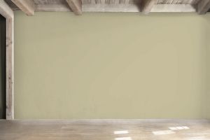 V451 Оливковая роща