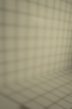 V451 Оливковая роща