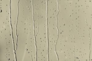 V451 Оливковая роща