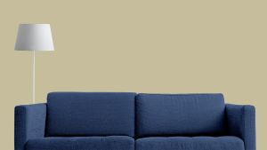 V451 Оливковая роща