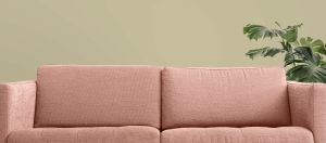 V451 Оливковая роща