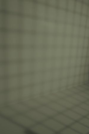 L447 Чашелистник