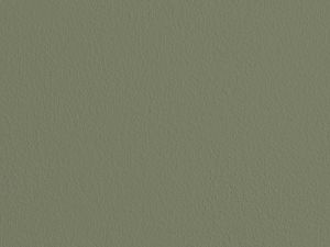 L447 Чашелистник