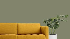 L447 Чашелистник