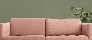 L447 Чашелистник