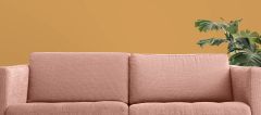 RAL 290-1