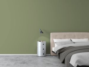 S385 Оранжерея