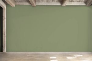 S385 Оранжерея