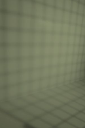 S385 Оранжерея