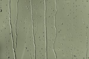 S385 Оранжерея