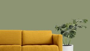 S385 Оранжерея