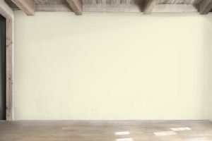 Y388 Цветок бузины