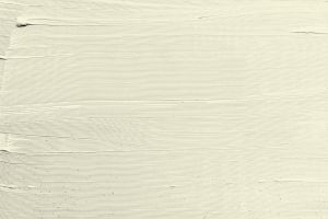 Y388 Цветок бузины