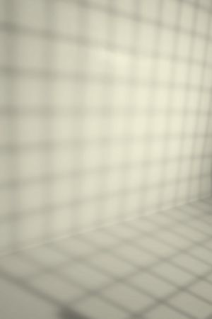 Y388 Цветок бузины