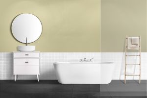 V389 Антоновка