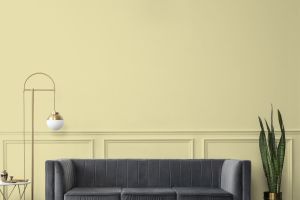 V389 Антоновка