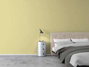 V389 Антоновка