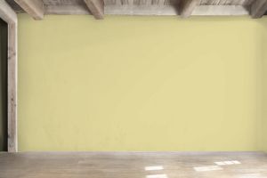 V389 Антоновка