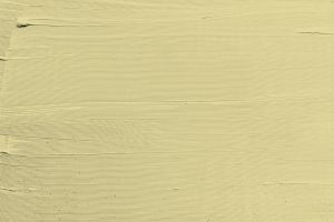 V389 Антоновка