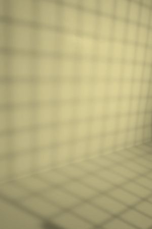 V389 Антоновка