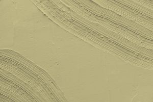 V389 Антоновка