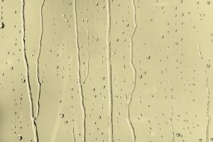 V389 Антоновка