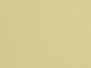 V389 Антоновка