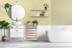 V389 Антоновка