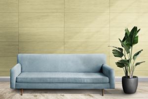 V389 Антоновка