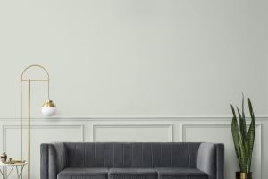 G444 Горгонзола