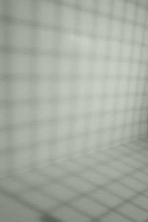 G444 Горгонзола