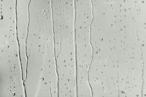 G444 Горгонзола