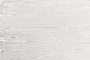 J503 Снежная роза