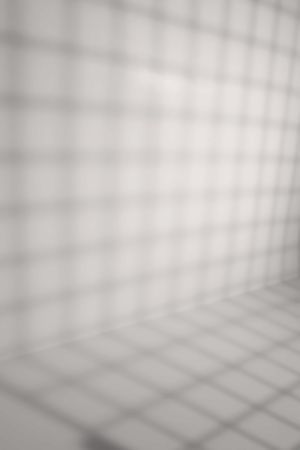 J503 Снежная роза